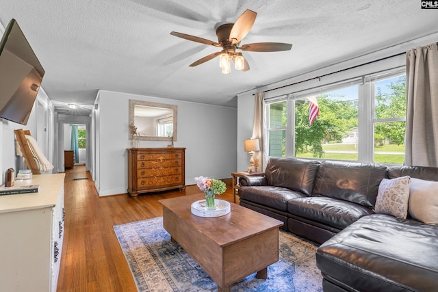 564 Rainbow Cir, West Columbia, SC 29170 - living room with wood finished floors, a textured ceiling, a ceiling fan, plenty of natural light, and baseboards