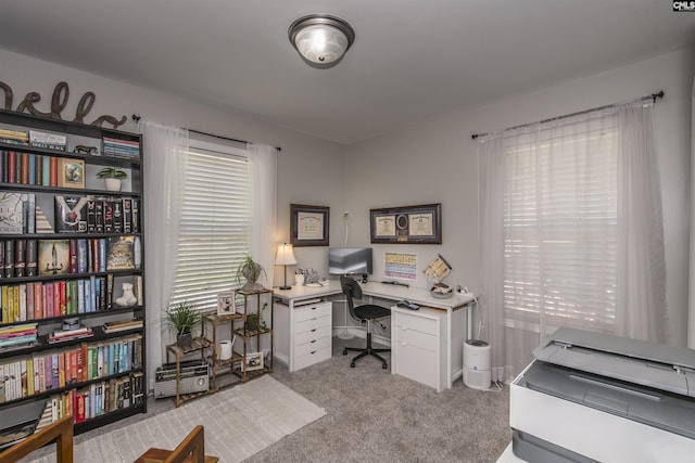 615 Laurel Hill Ln, Columbia, SC 29201 - home office featuring carpet floors