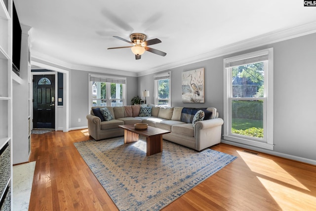 1130 Coatesdale Rd, Columbia, SC 29209 - living room with crown molding, ceiling fan, healthy amount of natural light, wood finished floors, and baseboards