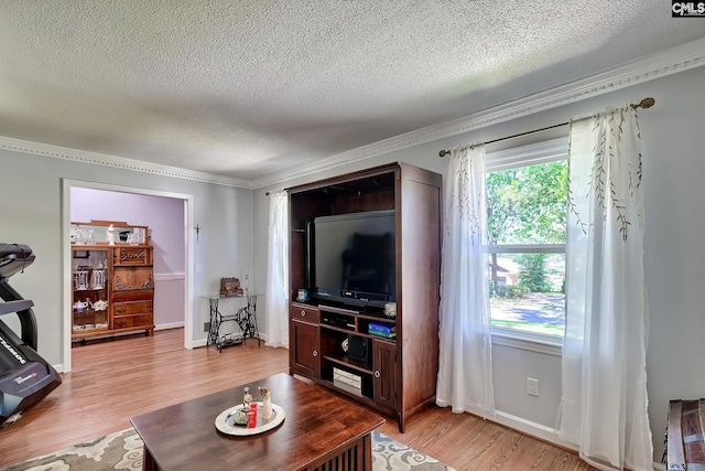 225 King Charles Rd, Columbia, SC 29209 - living room featuring a textured ceiling, light wood finished floors, ornamental molding, and baseboards