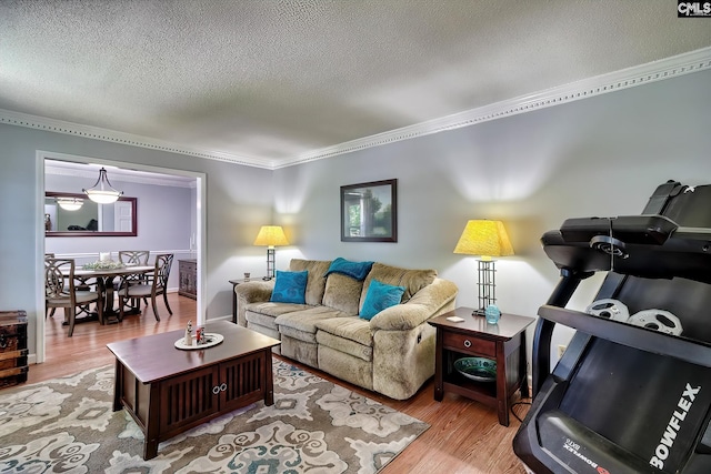 225 King Charles Rd, Columbia, SC 29209 - living area featuring crown molding, light wood-type flooring, and a textured ceiling