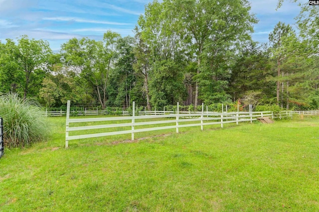 1091 Nick Watts Rd, Lugoff, SC 29078 - view of yard