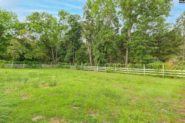 1091 Nick Watts Rd, Lugoff, SC 29078 - view of yard with a view of trees and a view of rural / pastoral area