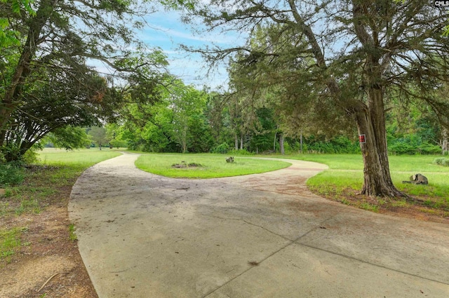 1091 Nick Watts Rd, Lugoff, SC 29078 - view of property's community featuring a yard