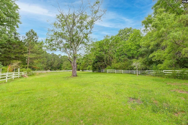 1091 Nick Watts Rd, Lugoff, SC 29078 - view of yard featuring a wooded view and a rural view