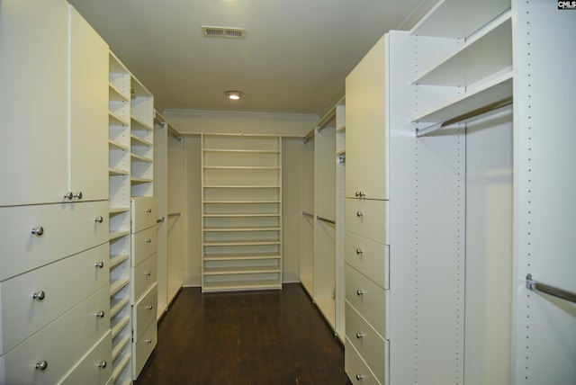 2336 Park St, Columbia, SC 29201 - spacious closet featuring dark wood-type flooring