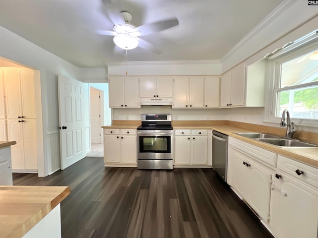 117 Fire Thorn Ln, Columbia, SC 29223 - kitchen featuring appliances with stainless steel finishes, a sink, under cabinet range hood, ceiling fan, and light countertops