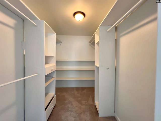 117 Fire Thorn Ln, Columbia, SC 29223 - spacious closet with dark carpet