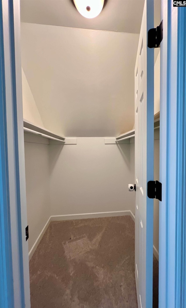 117 Fire Thorn Ln, Columbia, SC 29223 - spacious closet featuring carpet floors and lofted ceiling
