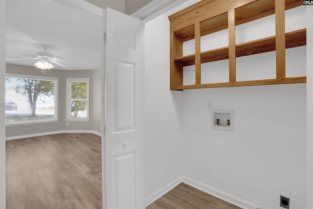 220 Colchester Dr, Columbia, SC 29223 - laundry area with hookup for a washing machine, electric dryer hookup, light wood-style floors, and baseboards