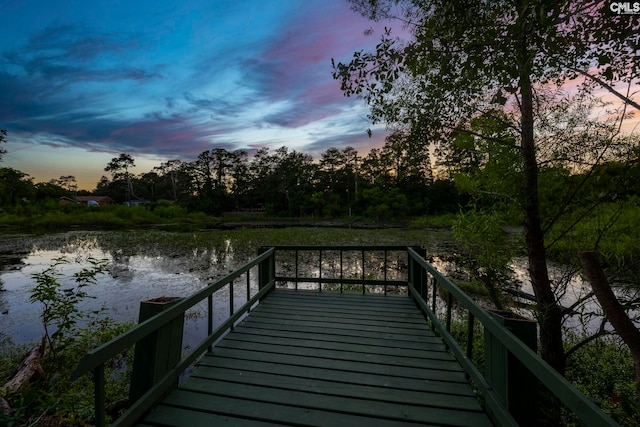 3509 Baywater Dr, Columbia, SC 29209 - dock area with a water view