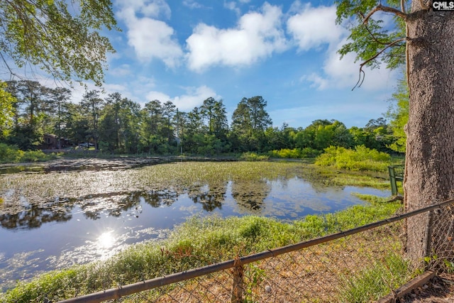 3509 Baywater Dr, Columbia, SC 29209 - water view