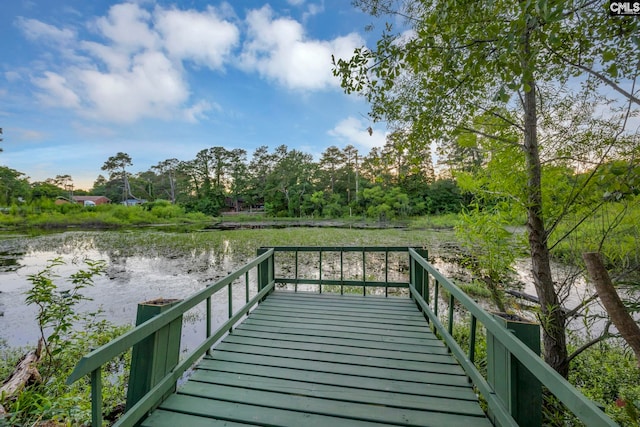 3509 Baywater Dr, Columbia, SC 29209 - dock area with a water view