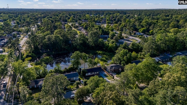 3509 Baywater Dr, Columbia, SC 29209 - aerial overview of property's location with a forest