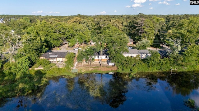 3509 Baywater Dr, Columbia, SC 29209 - drone / aerial view of a heavily wooded area and a nearby body of water