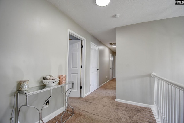 113 Dutch Oaks Dr, Irmo, SC 29063 - corridor featuring carpet floors, baseboards, and a textured ceiling
