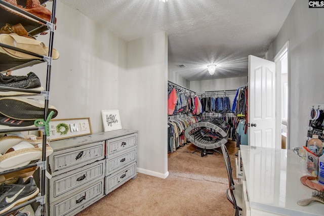 113 Dutch Oaks Dr, Irmo, SC 29063 - spacious closet featuring light colored carpet