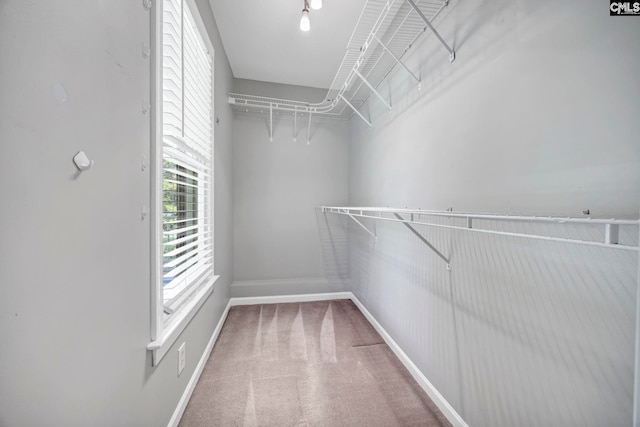 101 Stephenson Ln, Columbia, SC 29212 - spacious closet featuring carpet floors