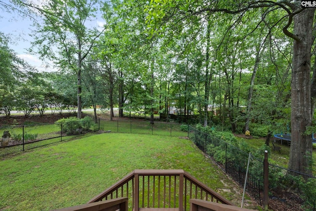 101 Stephenson Ln, Columbia, SC 29212 - view of yard featuring a trampoline