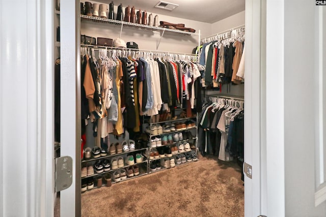 542 Pineberry Ct, West Columbia, SC 29170 - spacious closet with carpet floors