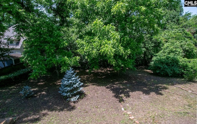 111 Southwood Dr, Columbia, SC 29205 - view of yard