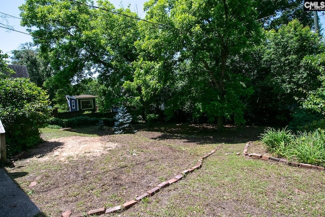 111 Southwood Dr, Columbia, SC 29205 - view of yard