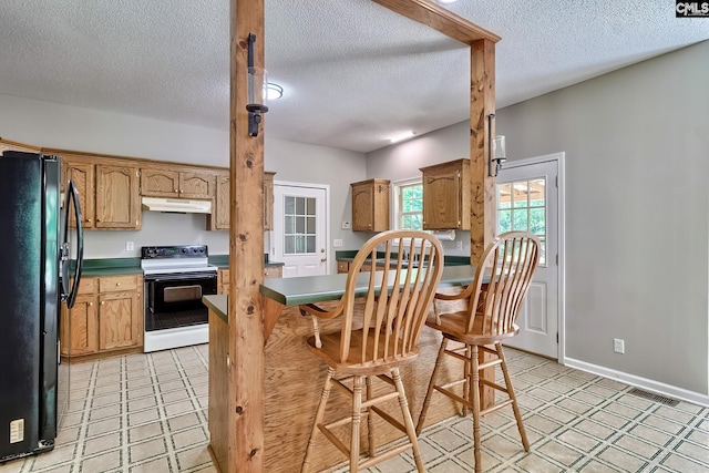 198 Beaver Creek Cir, Lugoff, SC 29078 - kitchen with range with electric cooktop, freestanding refrigerator, under cabinet range hood, light floors, and a textured ceiling