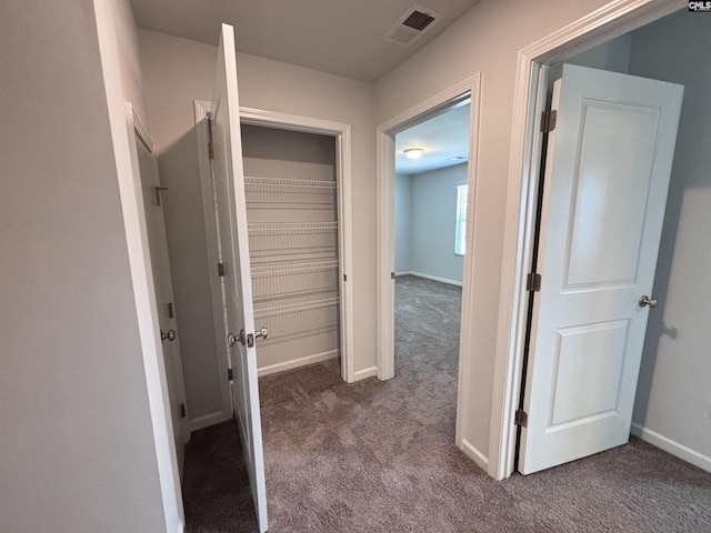 184 Windfall Rd, Blythewood, SC 29016 - hallway with dark carpet and baseboards