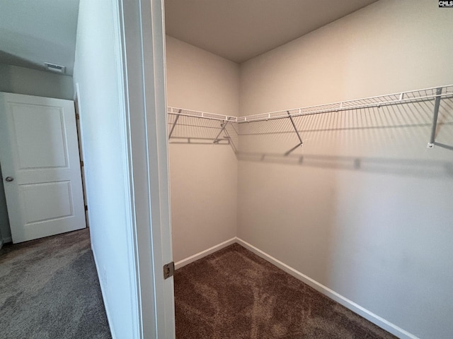184 Windfall Rd, Blythewood, SC 29016 - spacious closet featuring carpet flooring