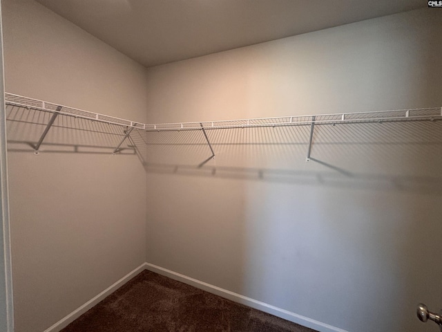 184 Windfall Rd, Blythewood, SC 29016 - spacious closet with dark colored carpet