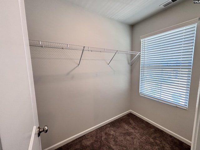 184 Windfall Rd, Blythewood, SC 29016 - spacious closet with dark carpet