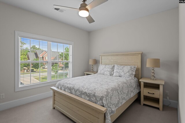 204 Peninsula Way, Columbia, SC 29229 - carpeted bedroom with baseboards and a ceiling fan