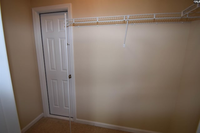267 Courtside Dr, Lexington, SC 29073 - view of closet