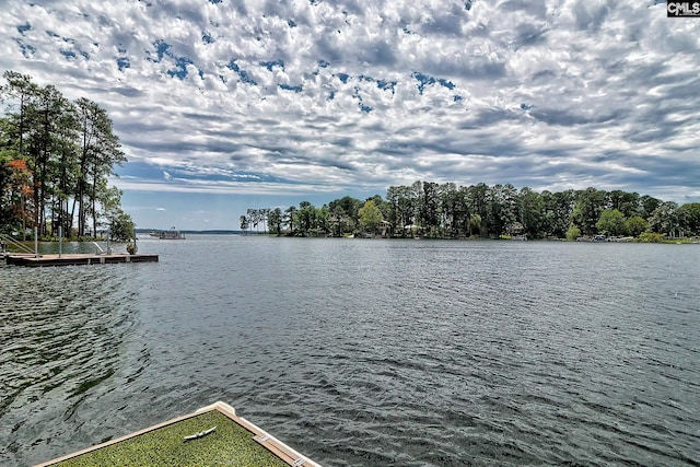 940 Willow Cove Rd, Chapin, SC 29036 - water view featuring a boat dock