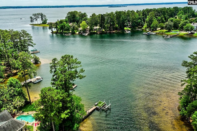 940 Willow Cove Rd, Chapin, SC 29036 - bird's eye view of a large body of water