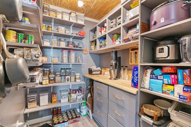 336 S Royal Tower Dr, Irmo, SC 29063 - view of storage area