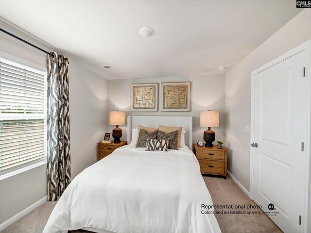 219 Bones Rd, Gilbert, SC 29054 - carpeted bedroom with baseboards