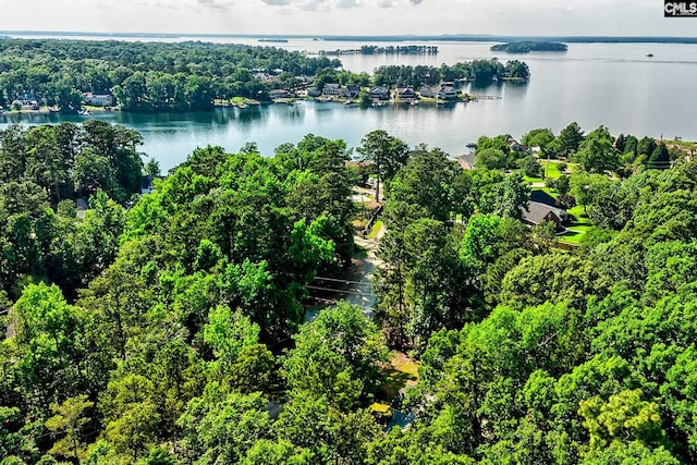 148 Lake Murray Ter, Lexington, SC 29072 - bird's eye view of a nearby body of water