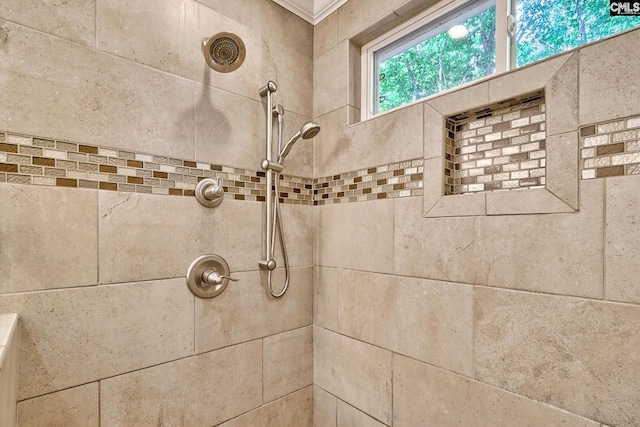 148 Lake Murray Ter, Lexington, SC 29072 - bathroom view of a tile shower
