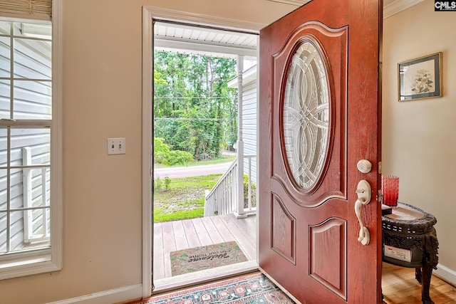 148 Lake Murray Ter, Lexington, SC 29072 - foyer entrance with baseboards and wood finished floors