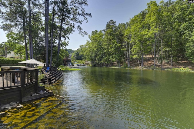 520 Sail Point Way, Columbia, SC 29212 - dock area featuring a water view