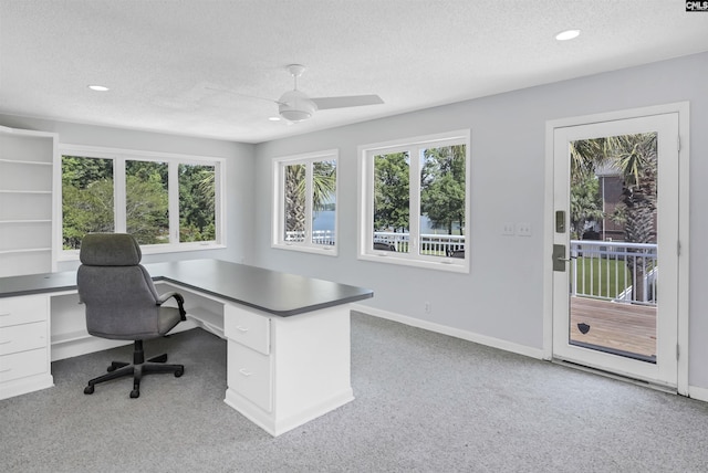 520 Sail Point Way, Columbia, SC 29212 - home office with light carpet, a textured ceiling, ceiling fan, healthy amount of natural light, and recessed lighting