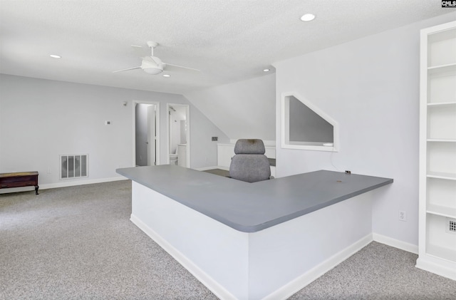 520 Sail Point Way, Columbia, SC 29212 - carpeted office space with a ceiling fan, recessed lighting, baseboards, vaulted ceiling, and a textured ceiling