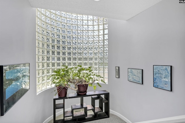 520 Sail Point Way, Columbia, SC 29212 - detailed view of carpet floors and baseboards