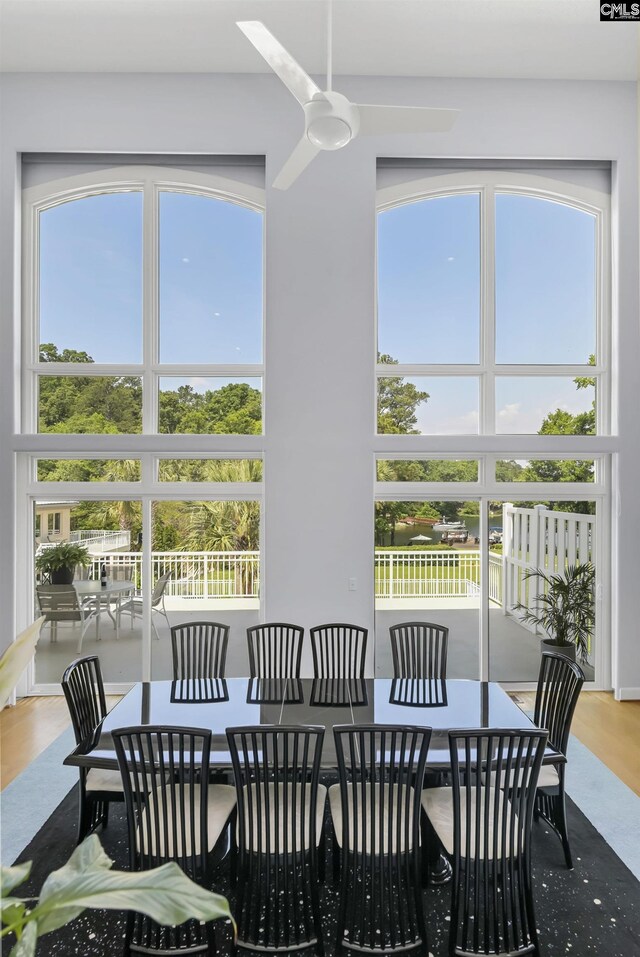 520 Sail Point Way, Columbia, SC 29212 - dining area featuring plenty of natural light, wood finished floors, and ceiling fan