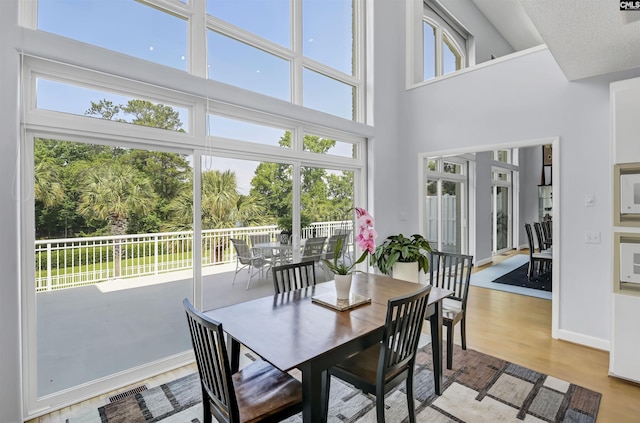520 Sail Point Way, Columbia, SC 29212 - dining room featuring plenty of natural light, light wood finished floors, baseboards, and a towering ceiling