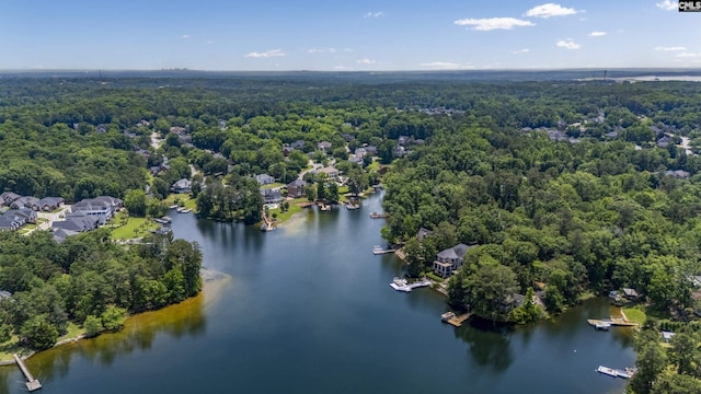 520 Sail Point Way, Columbia, SC 29212 - aerial view of a forest and a nearby body of water