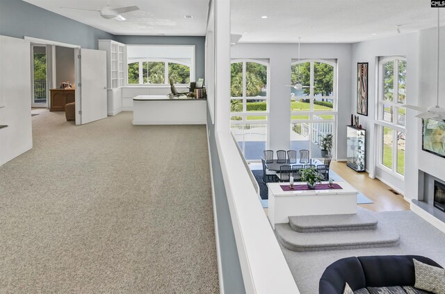 520 Sail Point Way, Columbia, SC 29212 - carpeted living room with plenty of natural light