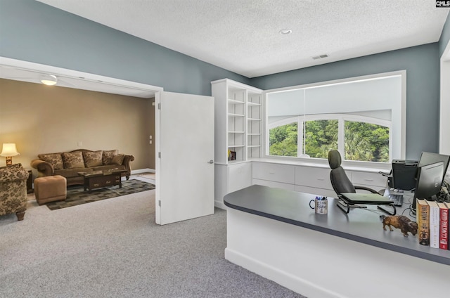 520 Sail Point Way, Columbia, SC 29212 - office space with carpet flooring, a textured ceiling, and baseboards