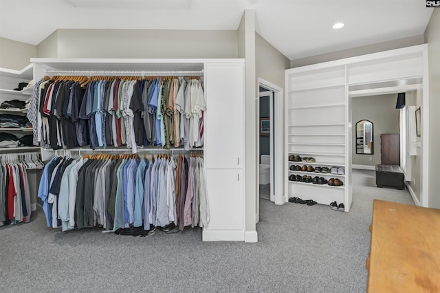520 Sail Point Way, Columbia, SC 29212 - walk in closet featuring carpet flooring